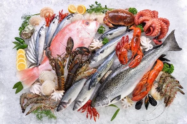 Global GAP Global Agricultural Practises - Fisheries - Unified Standards Services